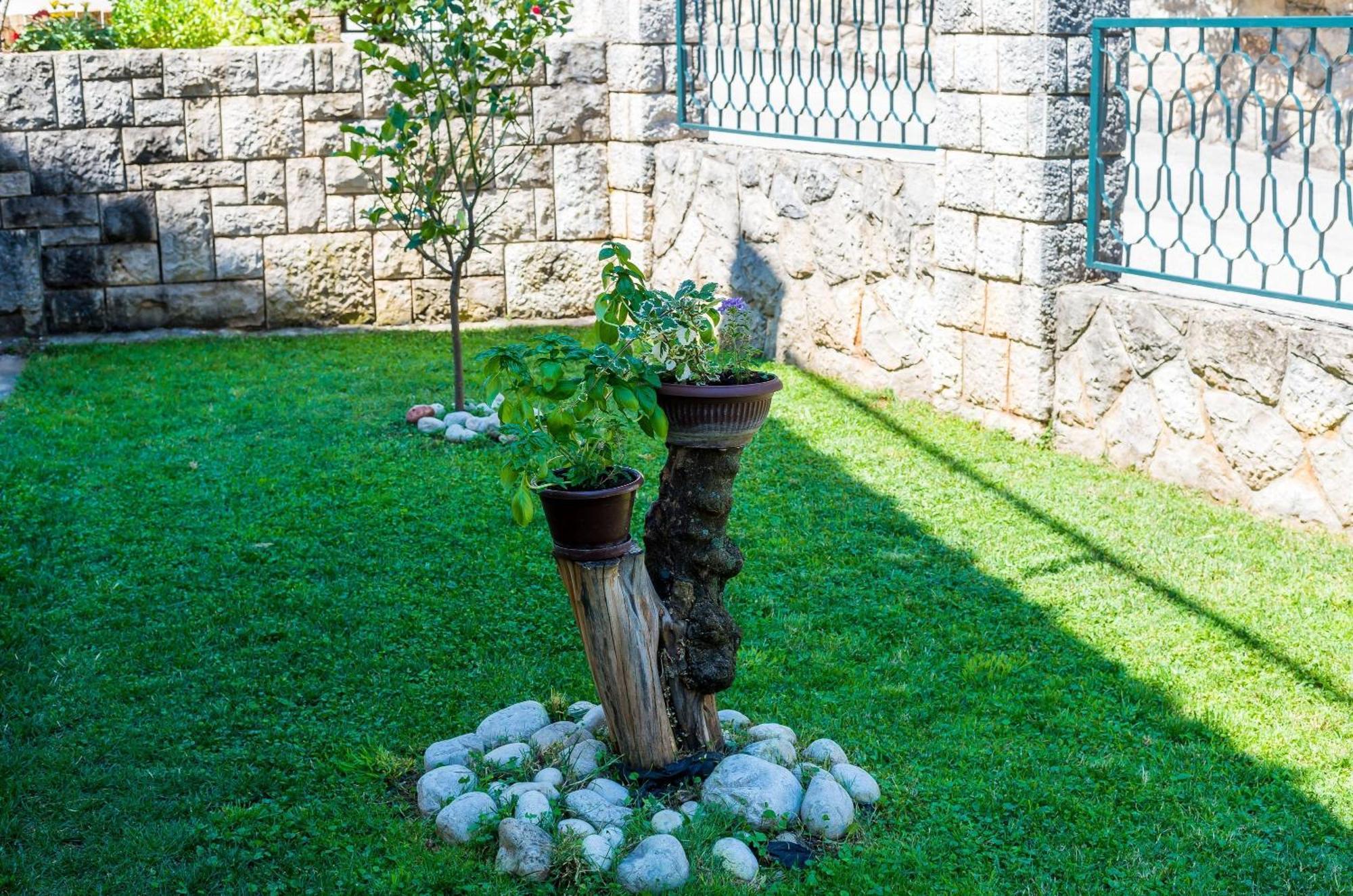 Apartments Garden-Cavtat Kültér fotó